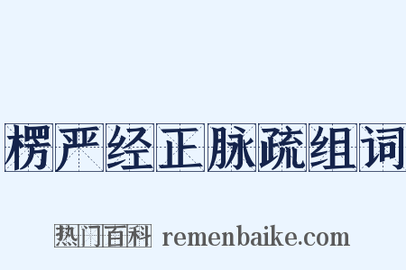 楞严经正脉疏组词是什么意思的图片